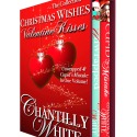 Christmas Wishes, Valentine’s Kisses on First Sight Saturday  #excerpt #firstmeeting